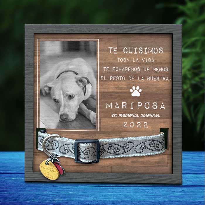 Los Mejores Amigos Llegan A Nuestras Vidas Y Dejan Huellas En Nuestros Corazones - Upload Image - Personalized Memorial Pet Loss Sign (9x9 pulgadas) Spanish