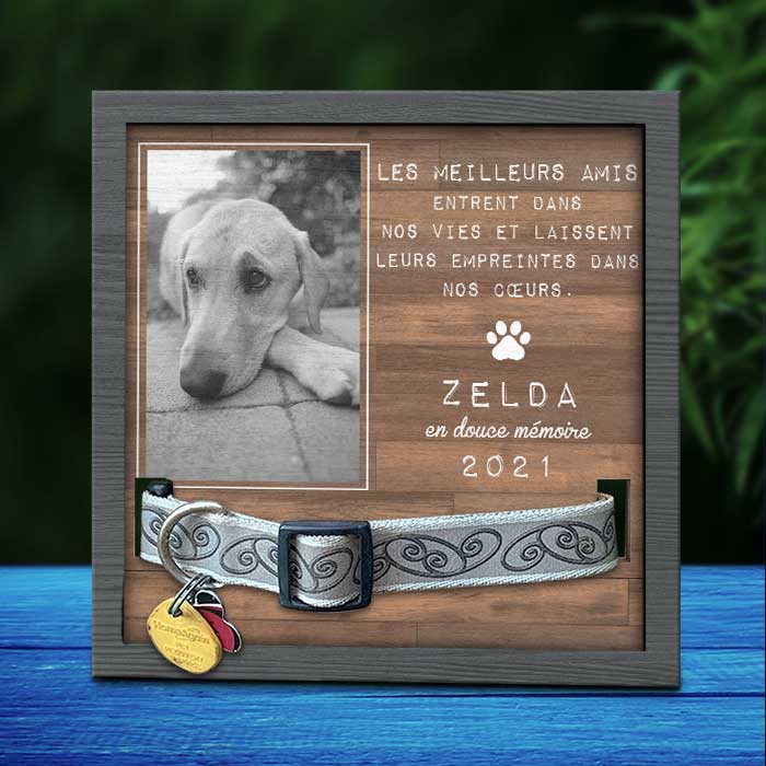 Les Meilleurs Amis Entrent Dans Nos Vies Et Laissent Leurs Empreintes Dans Nos Cœurs - Upload Image - Personalized Memorial Pet Loss Sign (9x9 pouces) French