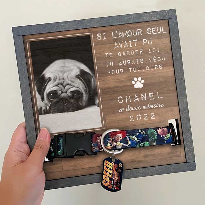 Les Meilleurs Amis Entrent Dans Nos Vies Et Laissent Leurs Empreintes Dans Nos Cœurs - Upload Image - Personalized Memorial Pet Loss Sign (9x9 pouces) French