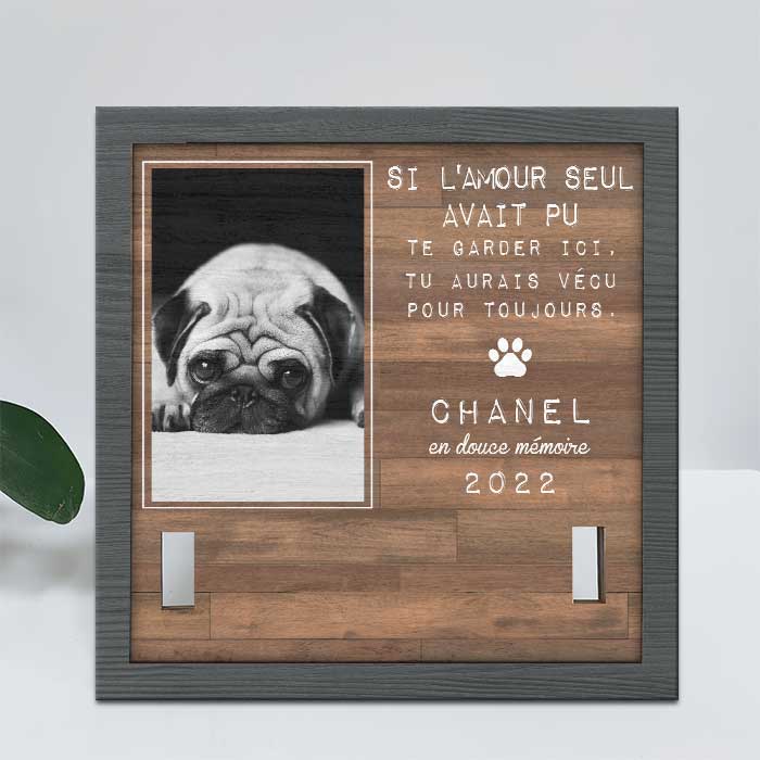 Les Meilleurs Amis Entrent Dans Nos Vies Et Laissent Leurs Empreintes Dans Nos Cœurs - Upload Image - Personalized Memorial Pet Loss Sign (9x9 pouces) French