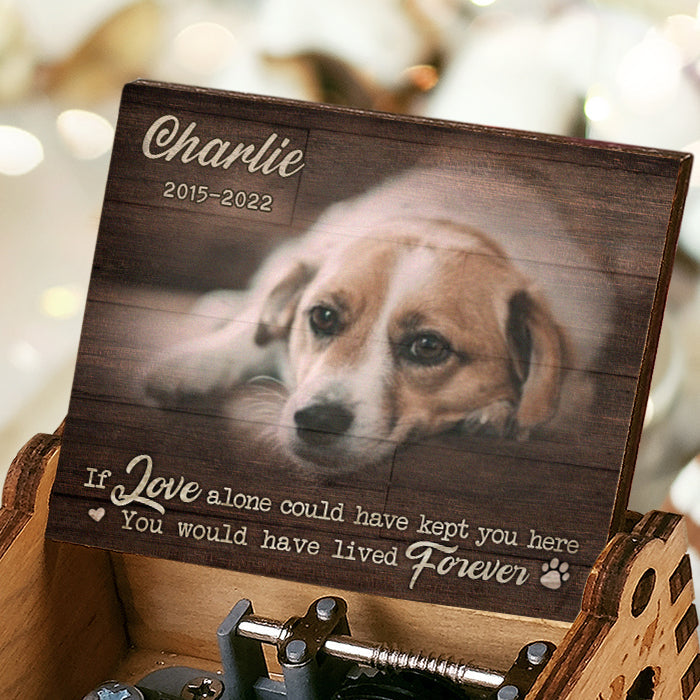 You Would Have Lived Forever - Personalized Music Box - Upload Image, Gift For Pet Lovers