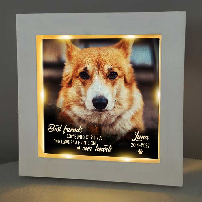 You Leave Paw Prints On Our Hearts - Personalized Memorial Frame With LED, LED Light Shadow Box - Memorial Gift, Sympathy Gift