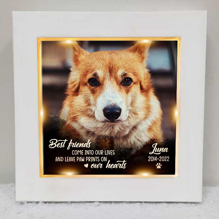 You Leave Paw Prints On Our Hearts - Personalized Memorial Frame With LED, LED Light Shadow Box - Memorial Gift, Sympathy Gift