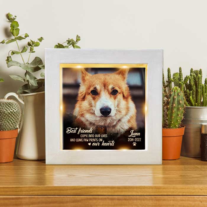 You Leave Paw Prints On Our Hearts - Personalized Memorial Frame With LED, LED Light Shadow Box - Memorial Gift, Sympathy Gift